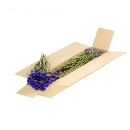Dried Flowers Natural Blue Statice sinuata - 1 Bundle