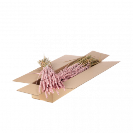 Dried Flowers Pink Misty Tarwe (Triticum) - 1 Bundle