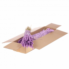 Dried Flowers Lilac Misty Tarwe (Triticum) - 1 Bundle