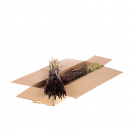 Dried Flowers deep Brown Tarwe (Triticum) - 1 Bundle