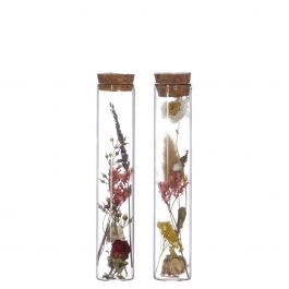 Glass tube with 2 different dried flowers Ø3cm (12 pcs.) [IFS-29343]