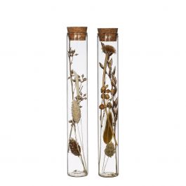 Glass tube with several dried flowers natural 20cm high - 12 pcs