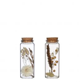 Glass tube with several dried flowers natural 12.5cm high - 12 pcs