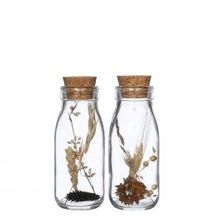Milk bottle with several dried flowers natural 14cm high - 12 pcs