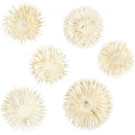 Dried flower heads, D: 3-5 cm - 6 pcs