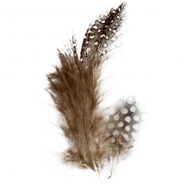 Guinea fowl feathers, brown, 3 gr - 1 pack