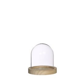Glass Dome with Wooden Base 100x100mm - 1 pc