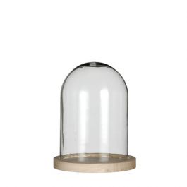 Glass Dome with Wooden Base 120x160mm - 1 pc