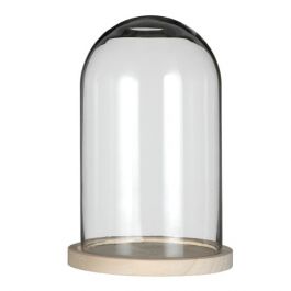 Glass Dome with Wooden Base 170x250mm - 1 pc