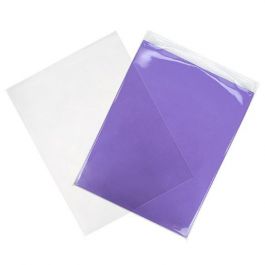ECO-friendly Bags 22.9x30.5cm Sealable - 100 pcs
