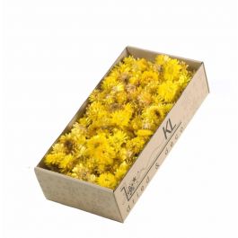 Dried Flowers Helichrysum heads 100gr naturel Yellow - 1 box