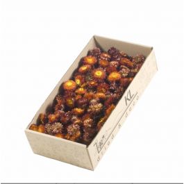Dried Flowers Helichrysum heads 100gr naturel red - 1 box