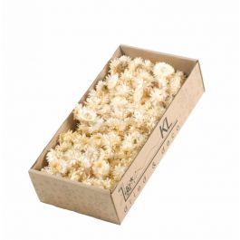 Dried Flowers Helichrysum heads 100gr naturel white - 1 box