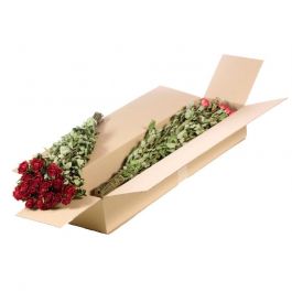 Dried Flowers Roses spray natural red - 1 bundle