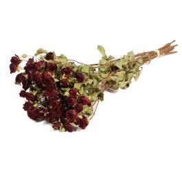 Dried Flowers Roses spray naturel dark red - 1 bundle
