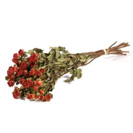 Dried Flowers Roses spray natural orange - 1 bundle